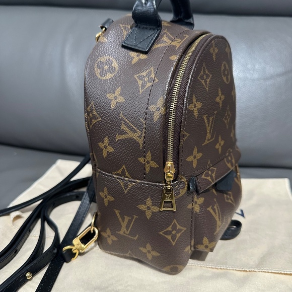 Louis Vuitton Palm Springs Mini - Picture 9 of 16